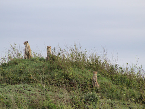 Shanjoy Tours and Safaris-Kikuyu必去景点