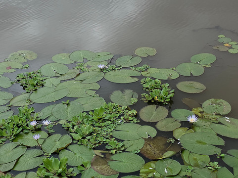 Parque Lacustre-Castro必去景点