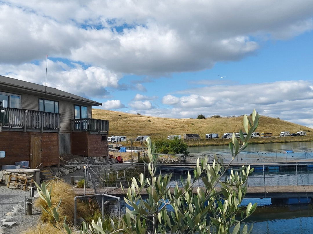 国宴三文鱼餐厅-特威泽尔必去景点