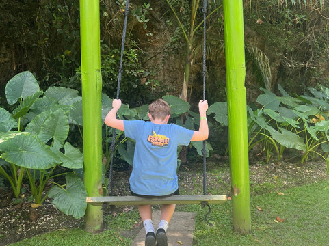 Harrison's Cave Eco-Adventure Park-Saint Thomas Parish必去景点