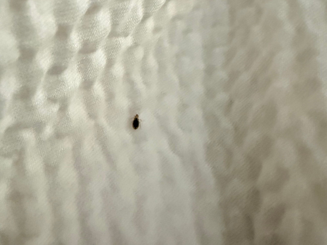 扬斯敦博德曼/波兰万枫酒店及套房主图