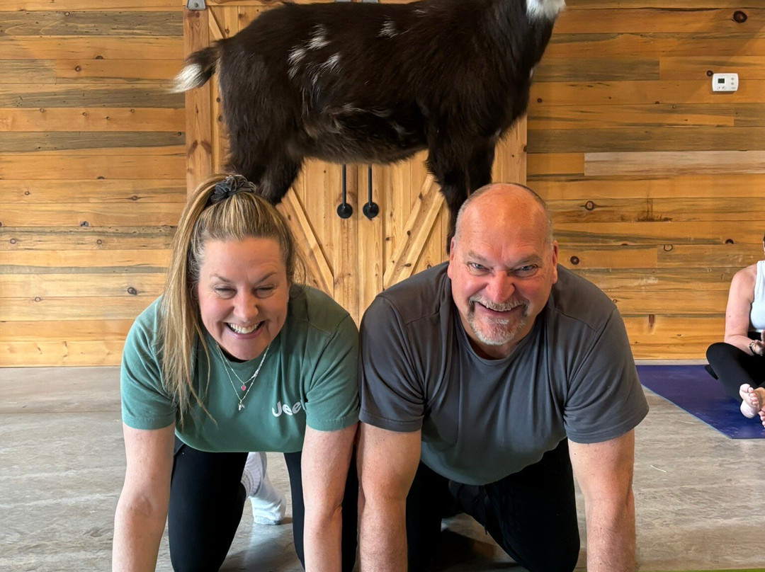 Healing Touch of Galena-加利纳必去景点