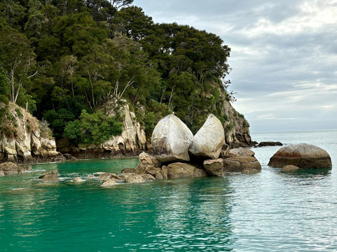 Abel Tasman Sea Shuttle Ltd-莫图伊卡必去景点