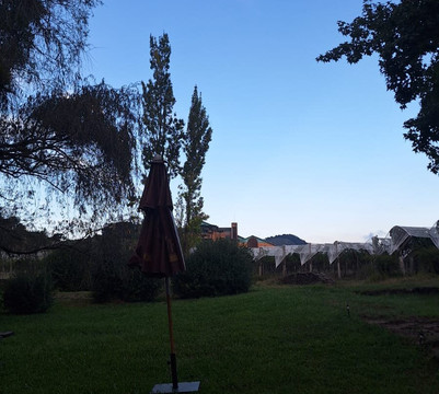 Villa Francioni-Sao Joaquim必去景点