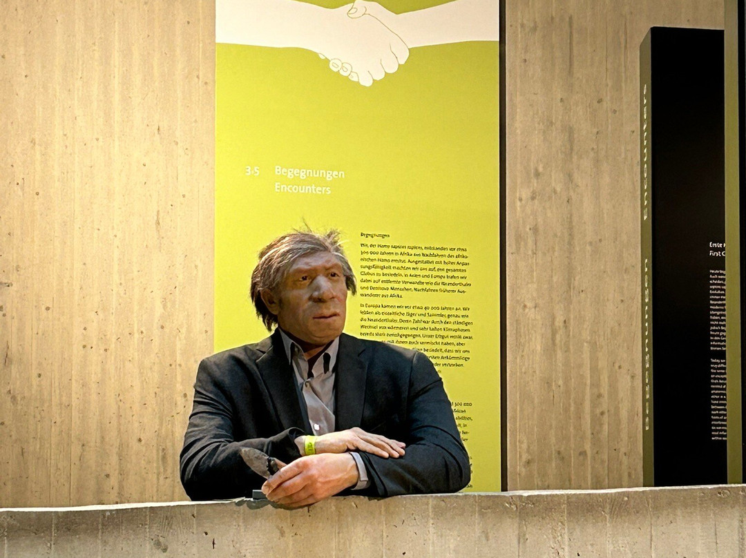 Neanderthal Museum-Mettmann必去景点