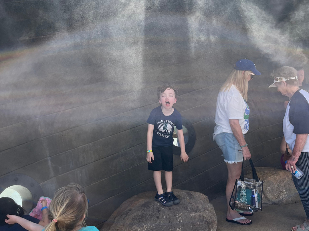 Peoria Sports Complex-皮奥里亚必去景点