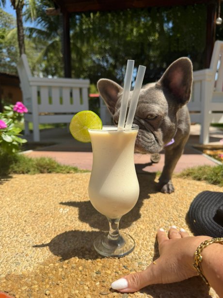 Posada Margot-官方