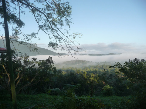 吉姆的农场别墅主图