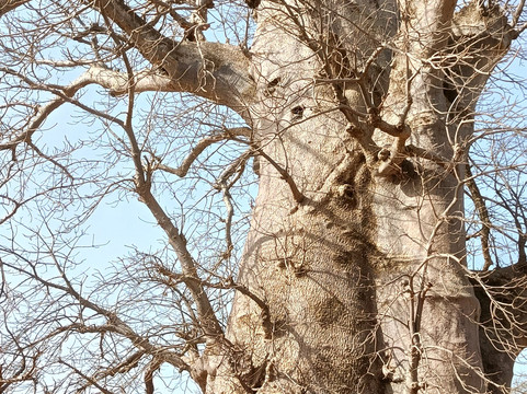 Lagune de la Somone-索蒙必去景点