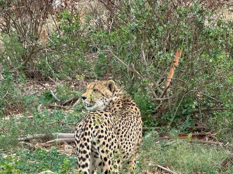 Yengwa Tours & Adventures-克尼斯纳必去景点