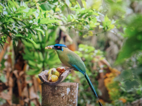 Ecoturismo La Nohelia-Jerico必去景点