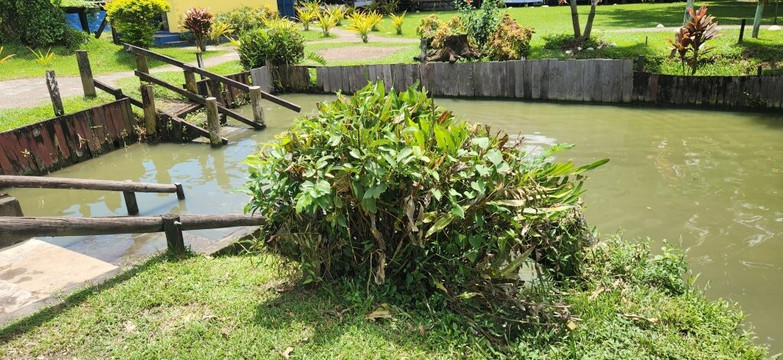 萨贝托泥浆温泉-纳迪市必去景点