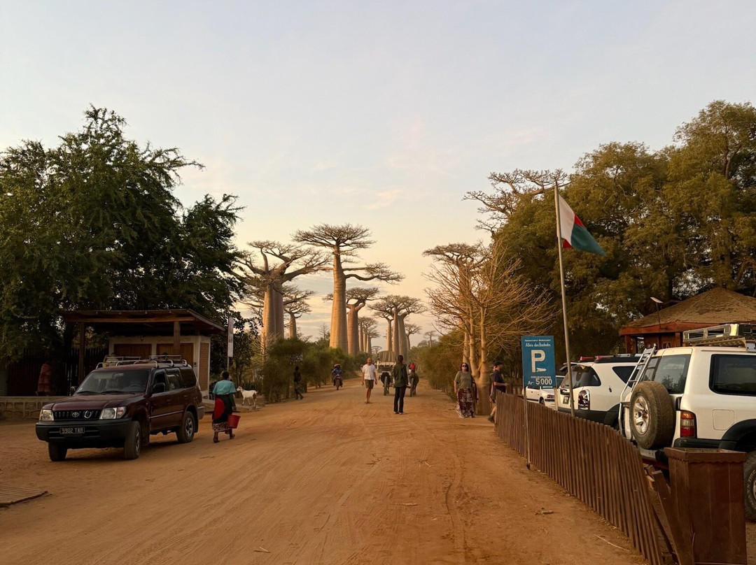 Wild-madagascar-tours-安塔那那利佛必去景点