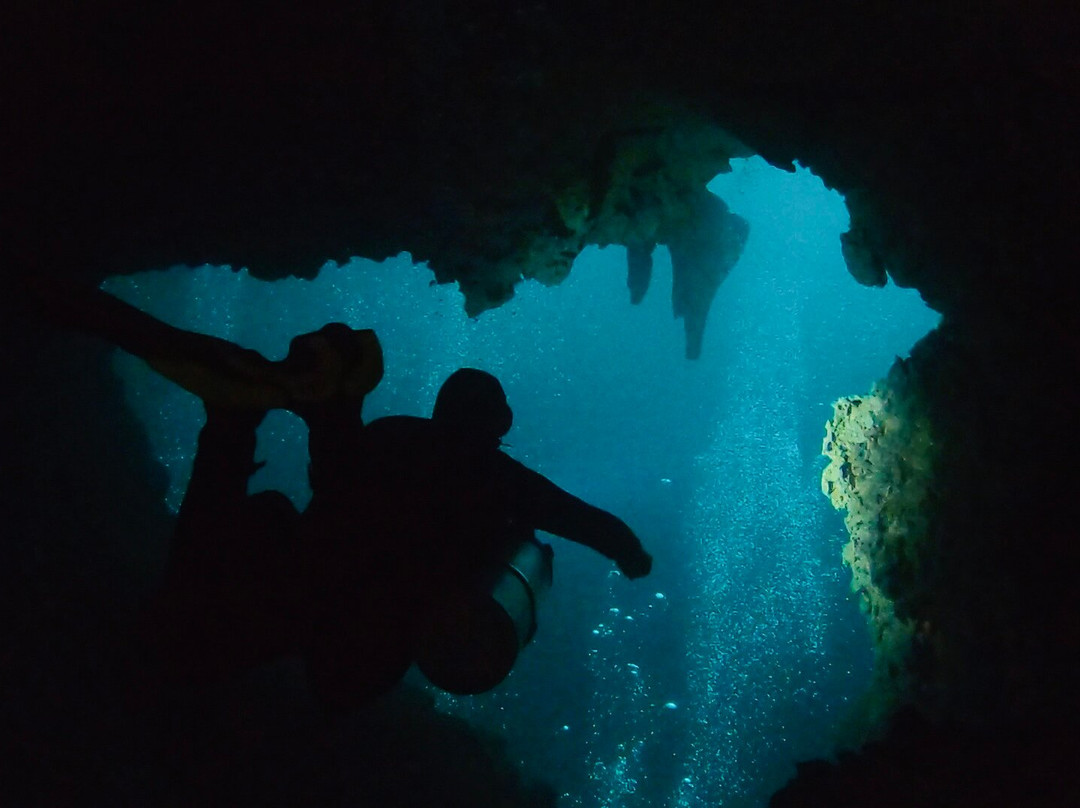Tank-ha Dive Center-普拉亚德尔卡曼必去景点