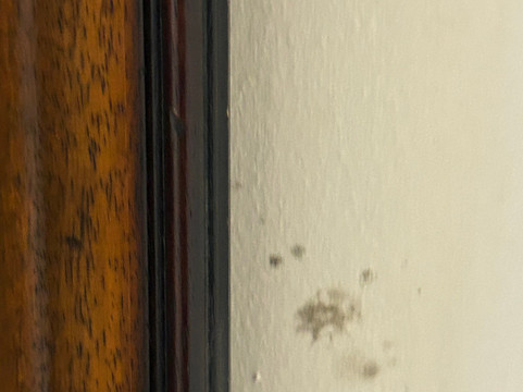 曼斯菲尔德松林旅馆及餐厅主图