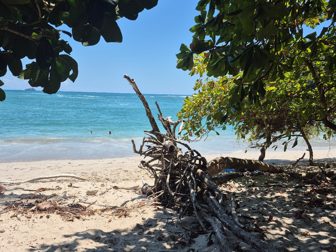 Aracari Experience-乌维塔必去景点