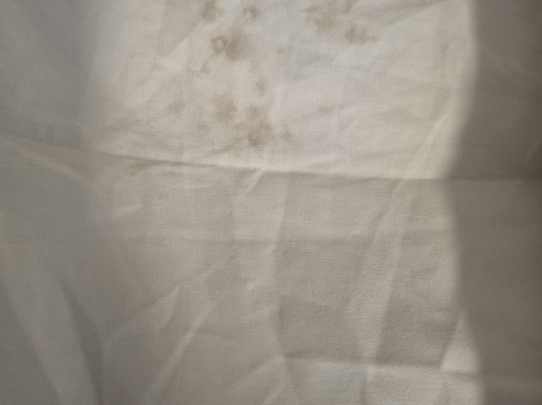 Chifley On City View主图