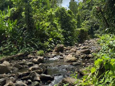 Seven Sisters Waterfalls Grenada-Grand Etang National Park必去景点