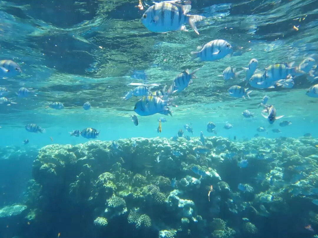 Giemme Escursioni-沙姆沙伊赫必去景点