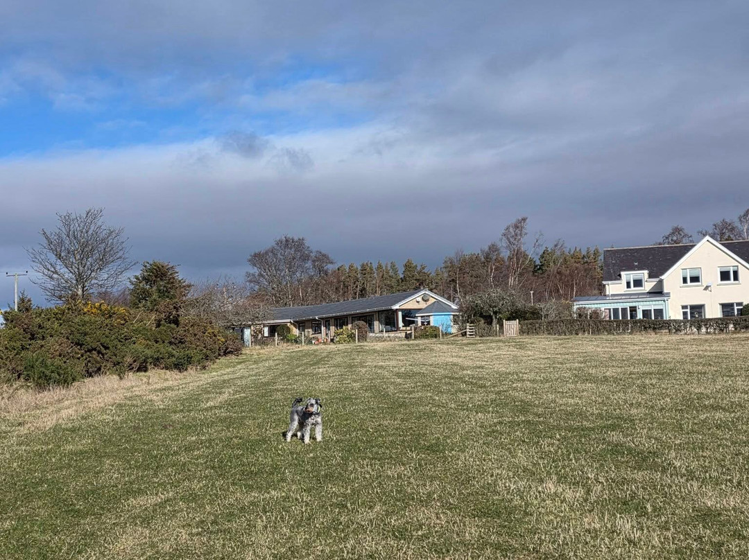 Heartseed House B&B主图