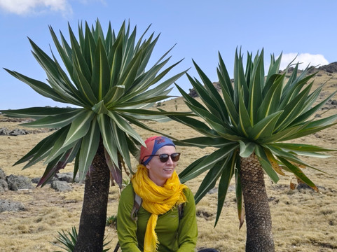 SMT TOUR (Simien Mountains Tour)-贡德尔必去景点