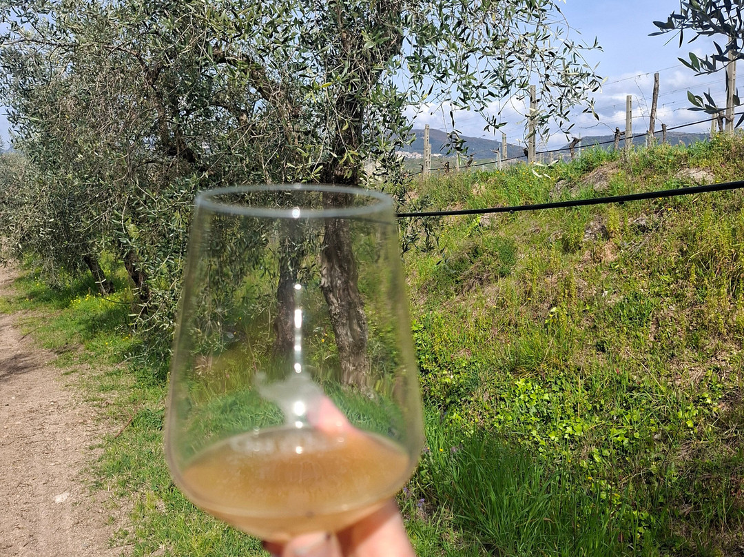 Casa di Baal-Montecorvino Rovella必去景点