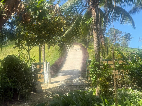 Demce Tours-逍遥海湾必去景点