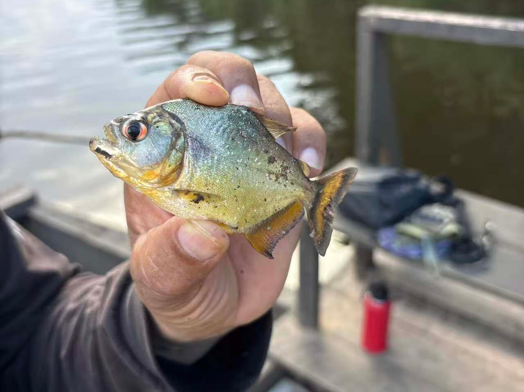 Finca Sachavacayoc lodge主图