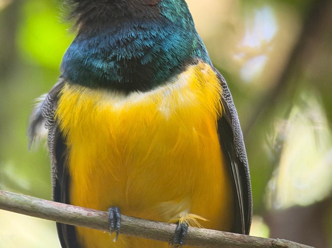 Hotel Jade Mar-Bahia Drake必去景点