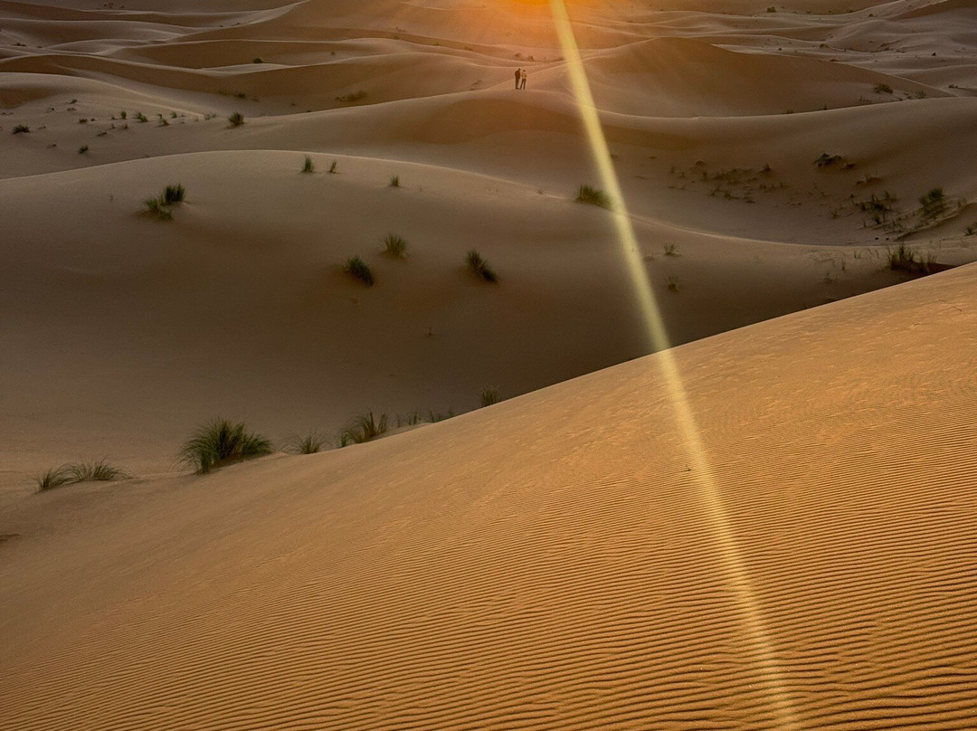 Dades Aventures - Day Tours-瓦尔扎扎特必去景点