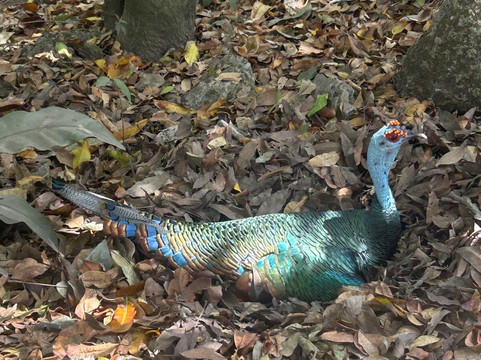 Yalahau Lagoon-Holbox Island必去景点
