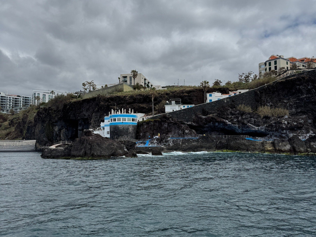 Vip Dolphins-沙尔必去景点