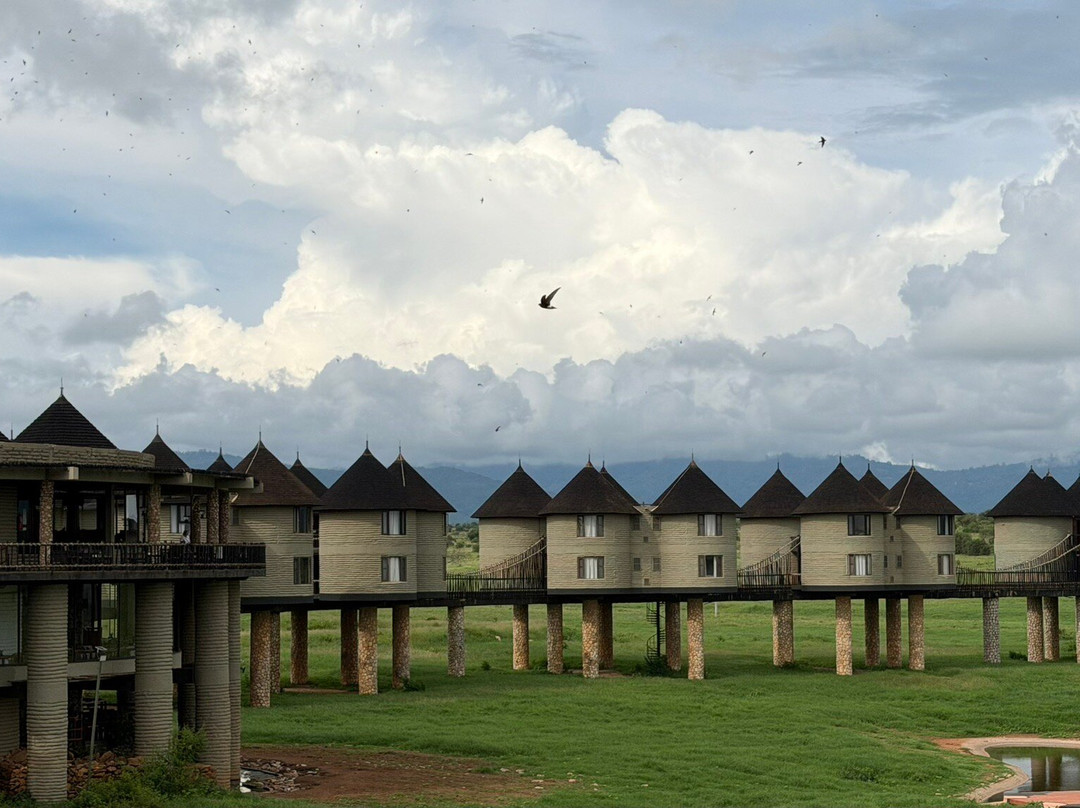 Safari Desire-Sekenani必去景点