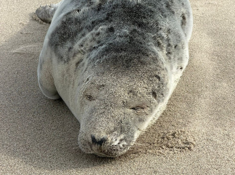 Hotel Du Commerce主图