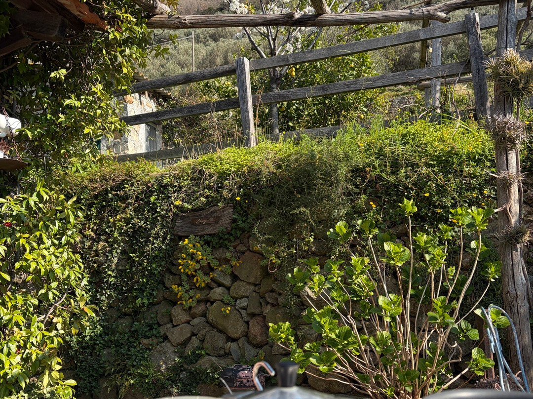 Bed And Breakfast Cà De Badin主图