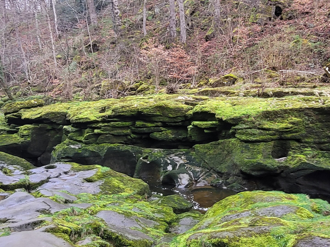The Strid-Bolton Abbey必去景点