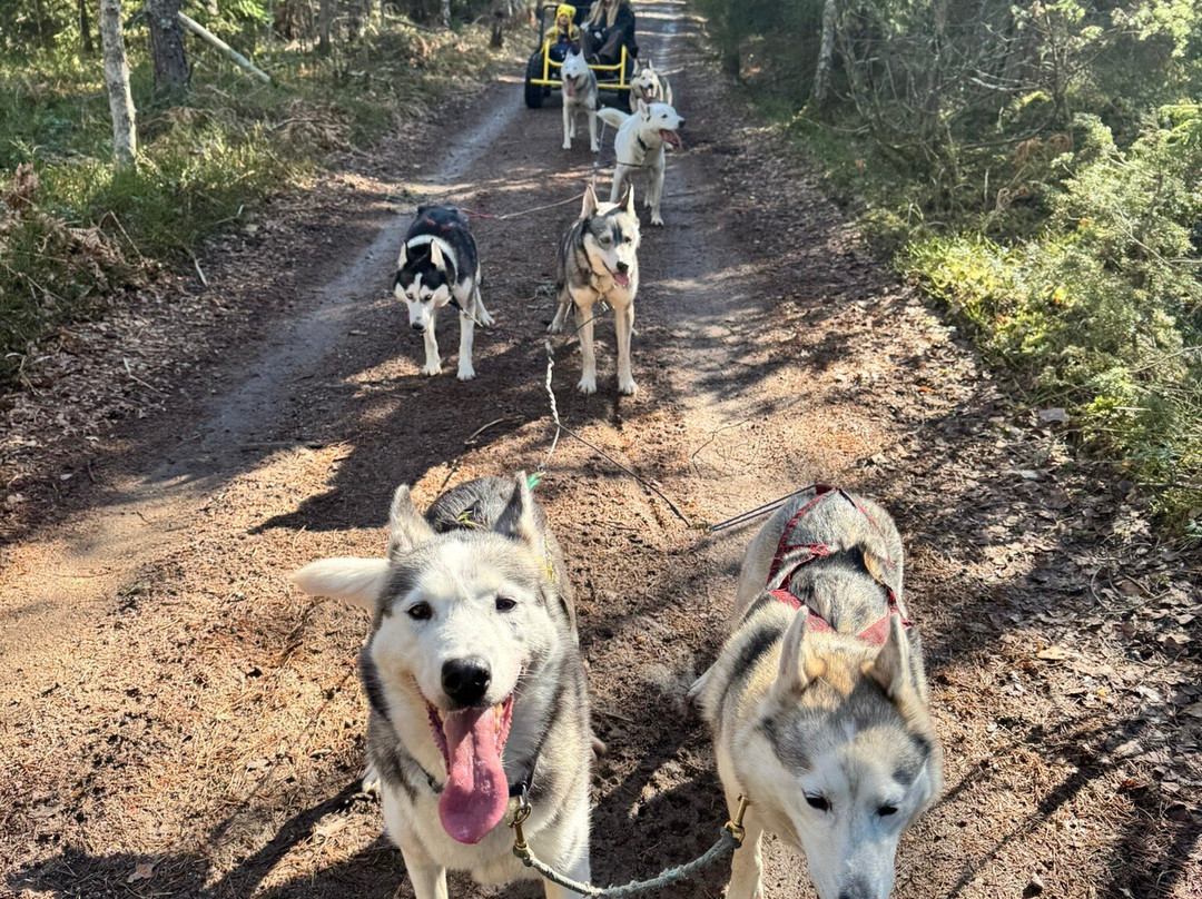 Arctic Expedition-埃斯波必去景点