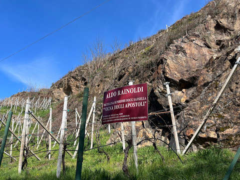 Cantina Aldo Rainoldi-Chiuro必去景点