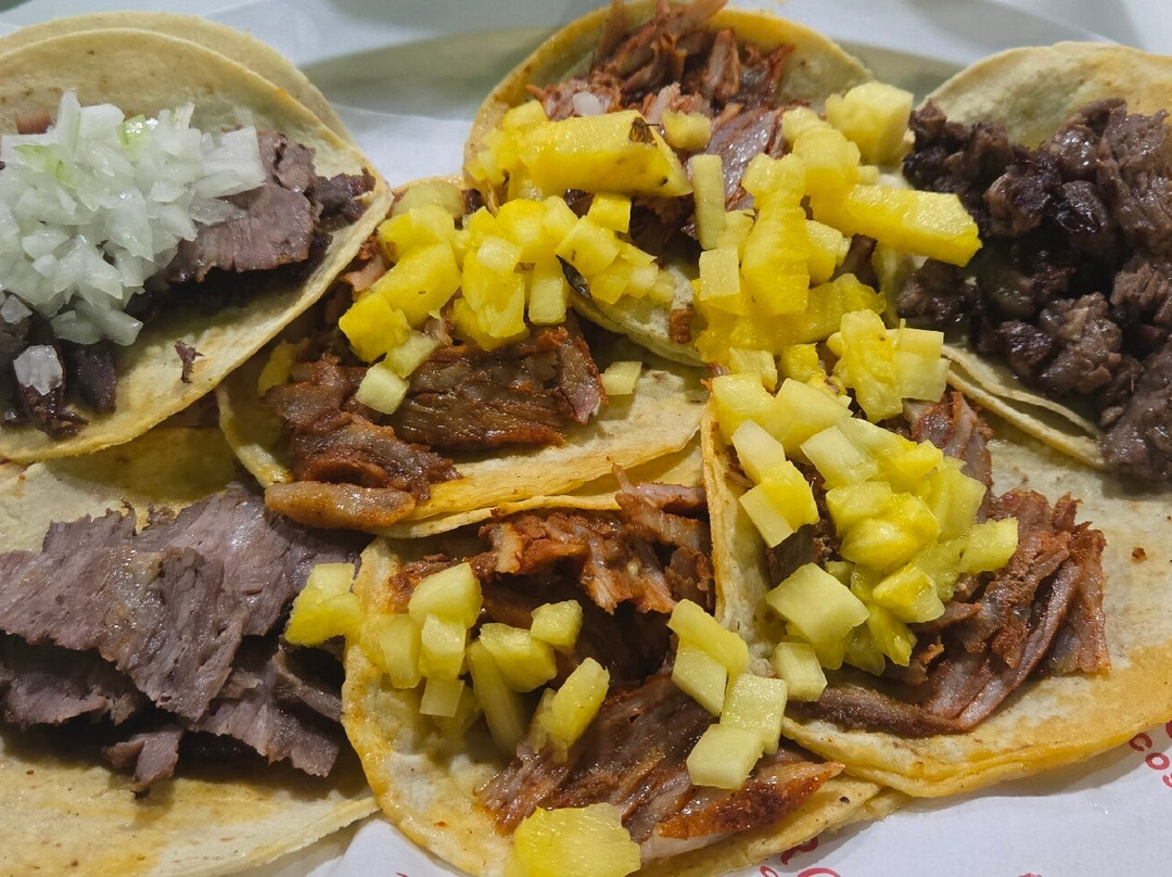 Trompetto Tacos y Churros