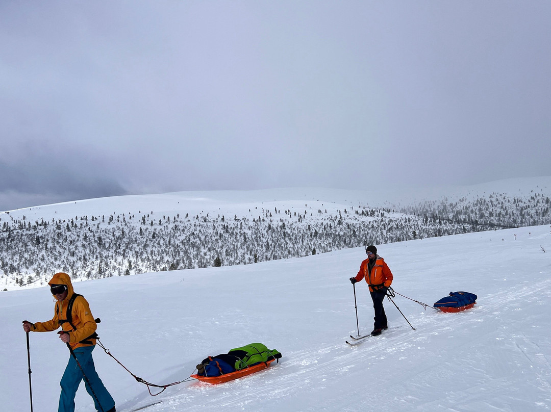 Norwegian Polar Academy-霍宁斯沃格必去景点
