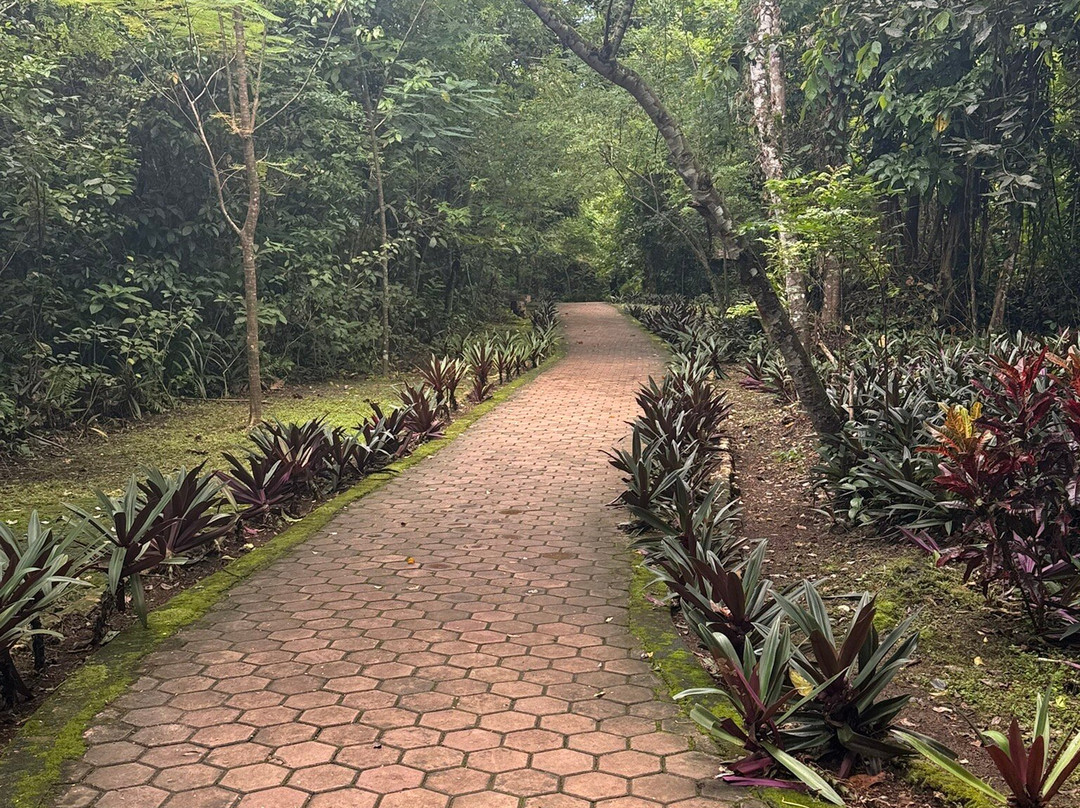 Hawang Cave-Letvuan必去景点