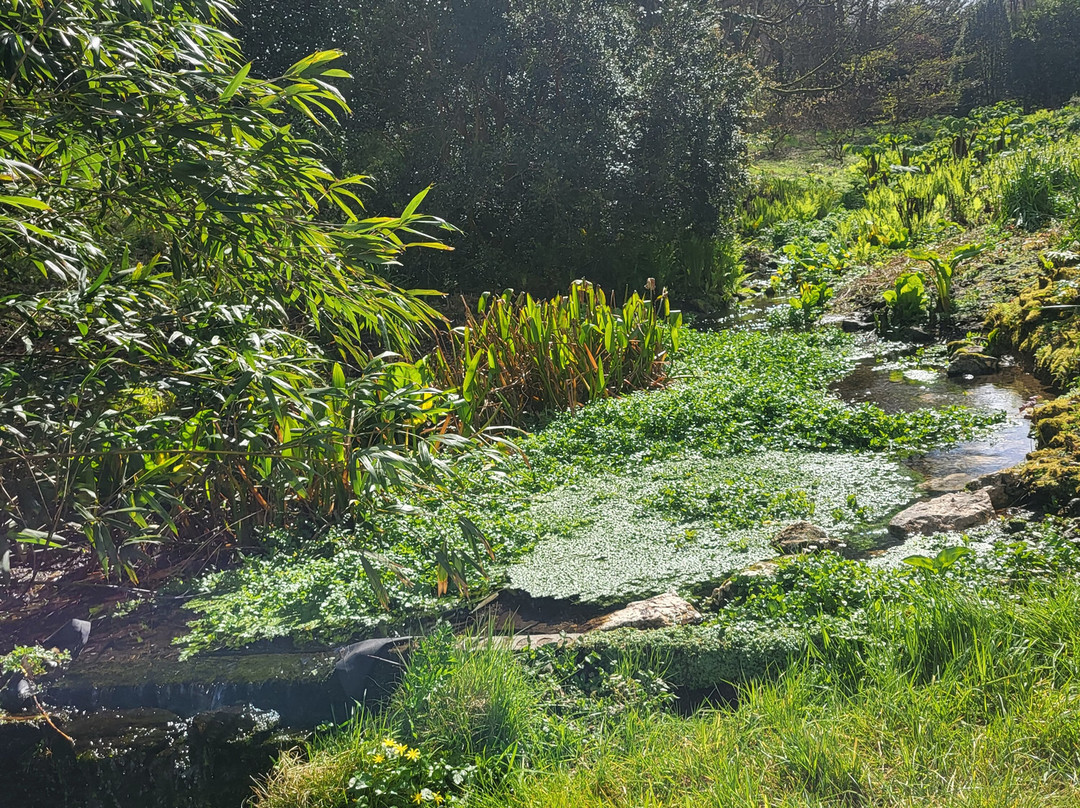 Pencarrow House and Gardens-Washaway必去景点