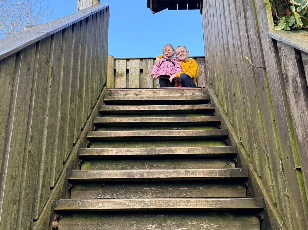 Monkey World-韦勒姆必去景点