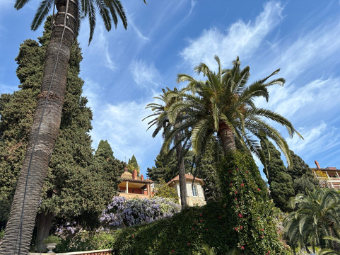 I Giardini Di Villa Della Pergola-阿拉西奥必去景点