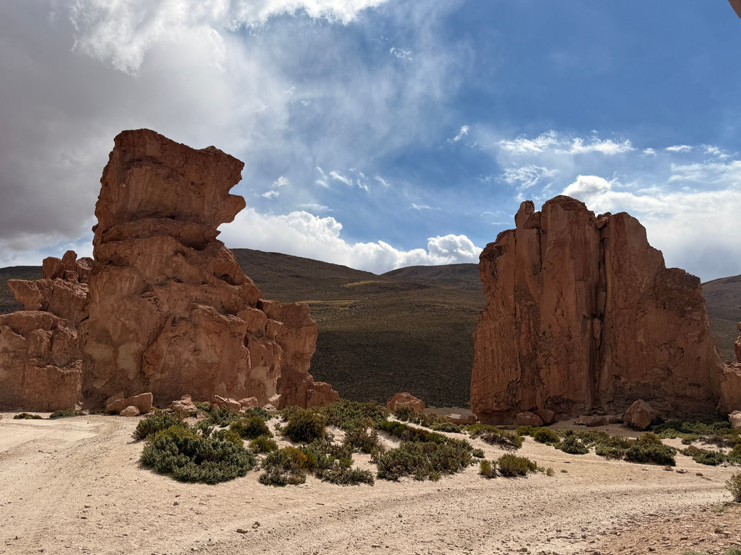 Expediciones Árbol de Piedra-乌尤尼必去景点