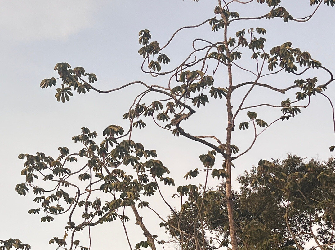 La Huerta Hotel主图