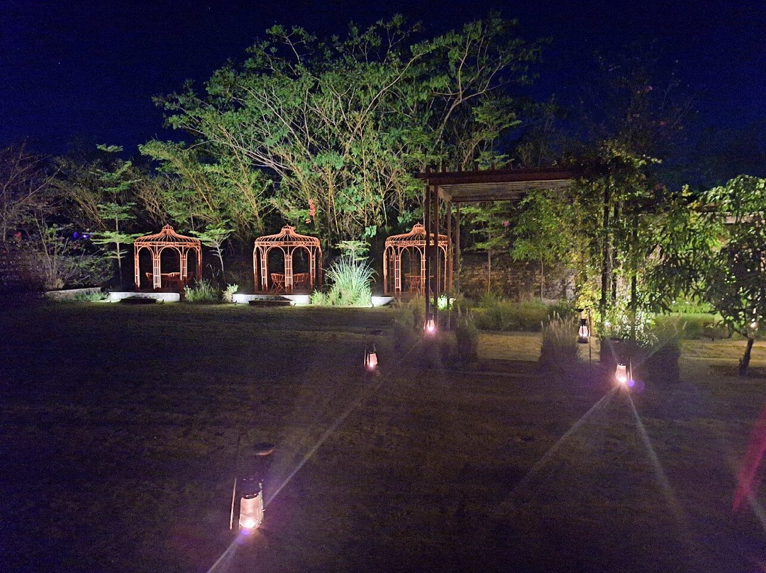 Aramness Gir国家公园主图