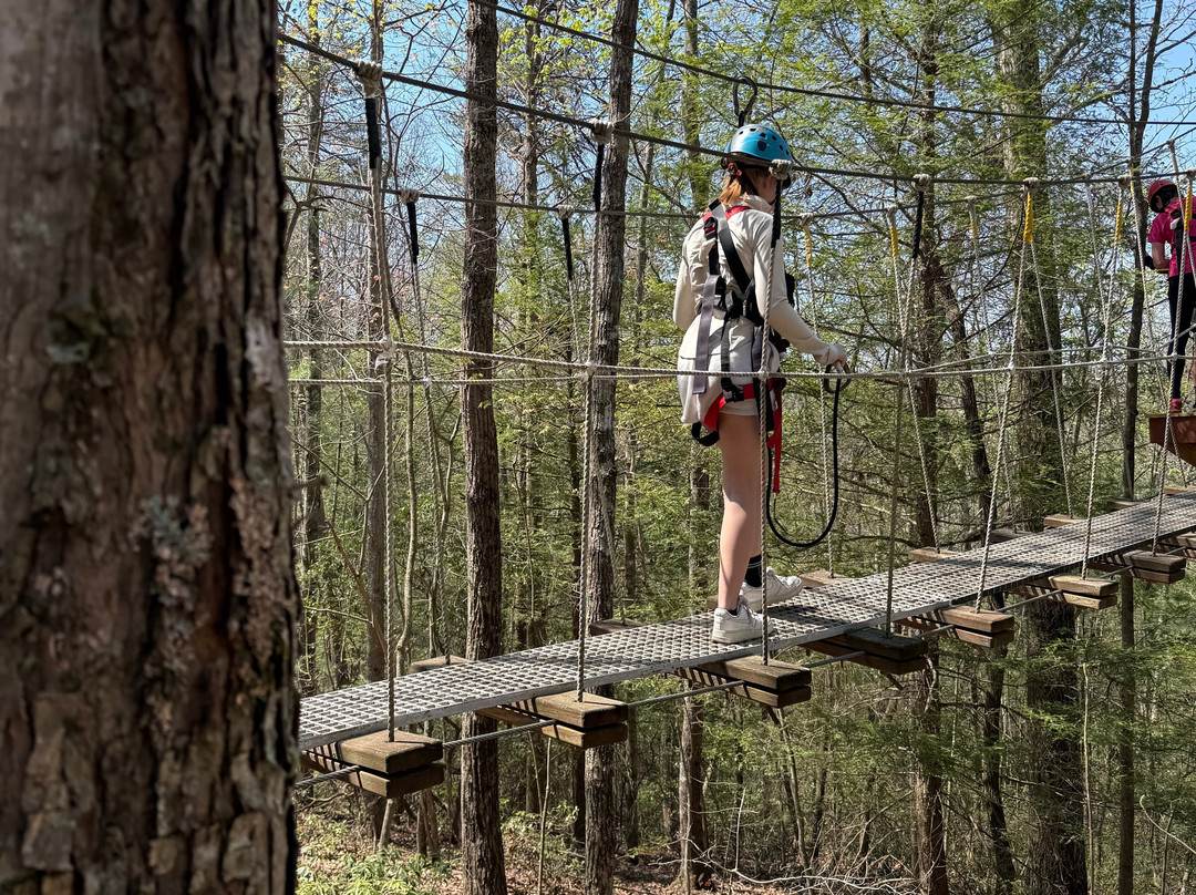 Red River Gorge Zipline-Campton必去景点