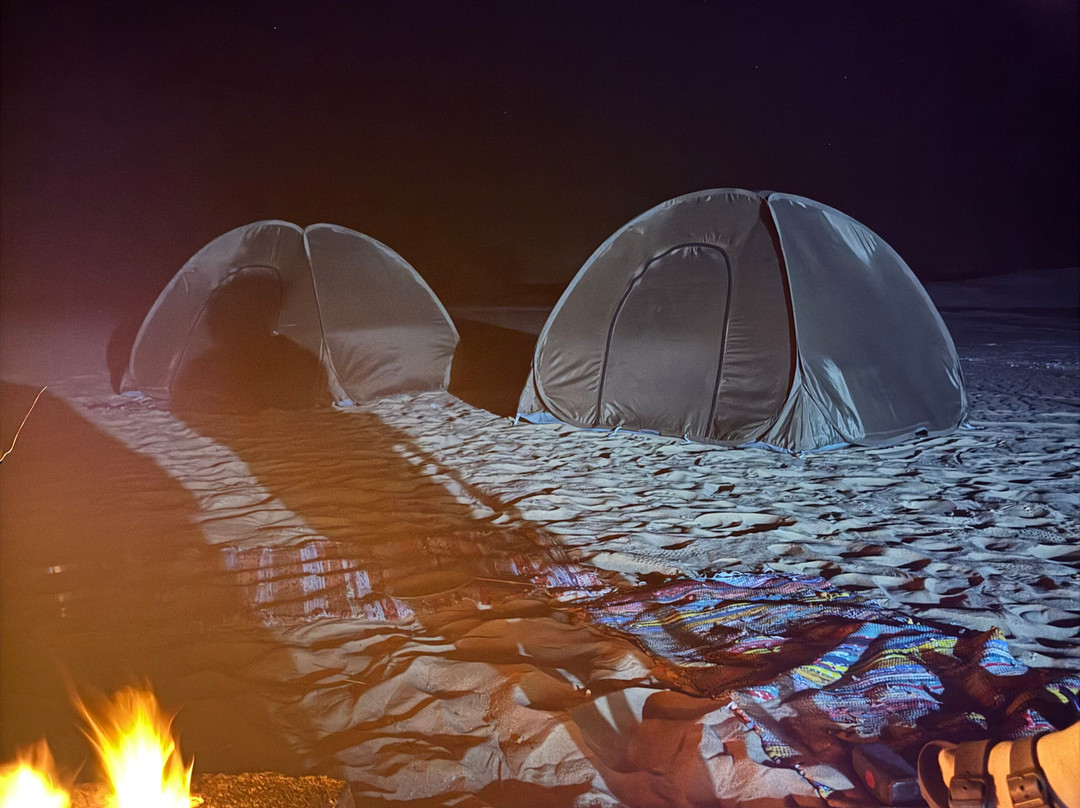 Cairo Top Tours-开罗必去景点