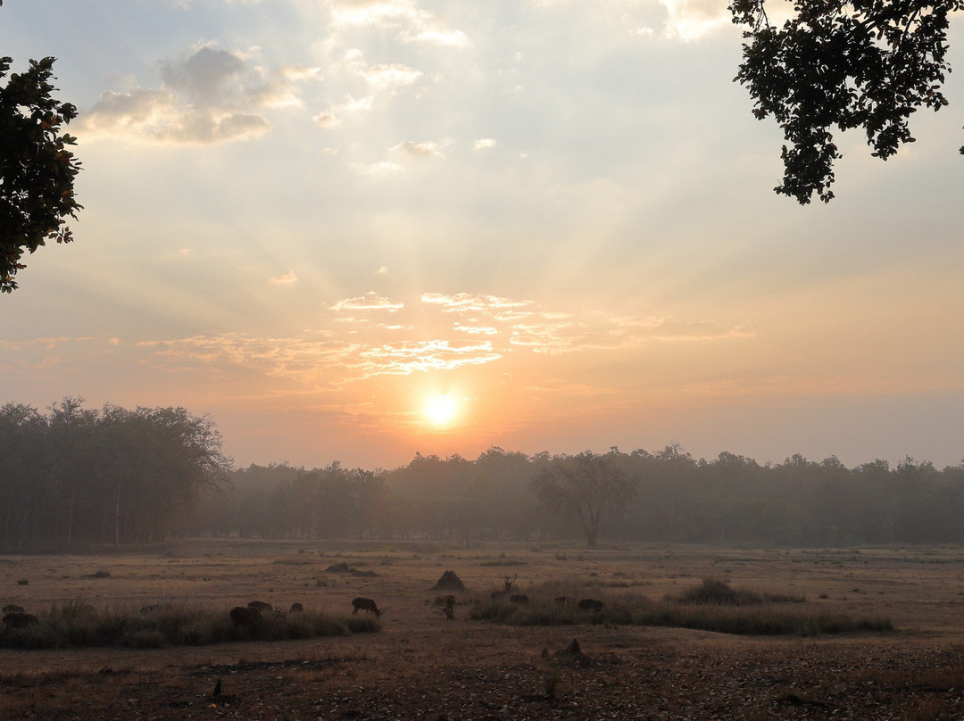 Singinawa Jungle Lodge主图